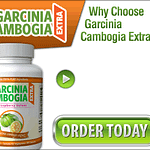 Garcinia Cambogia Extra review: Does it really help you lose weight